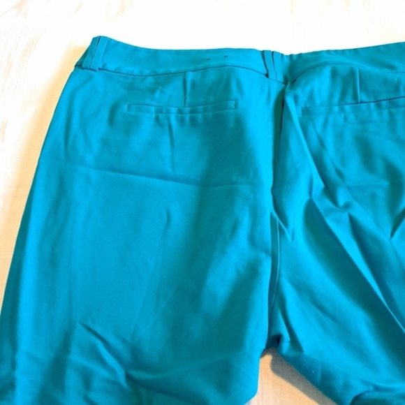 Torrid women's size Plus size 24R teal/blue pants cropped lots of stretch - Picture 6 of 10